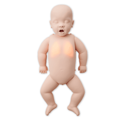 Elustamismannekeen Brayden Baby Advanced - Image 2